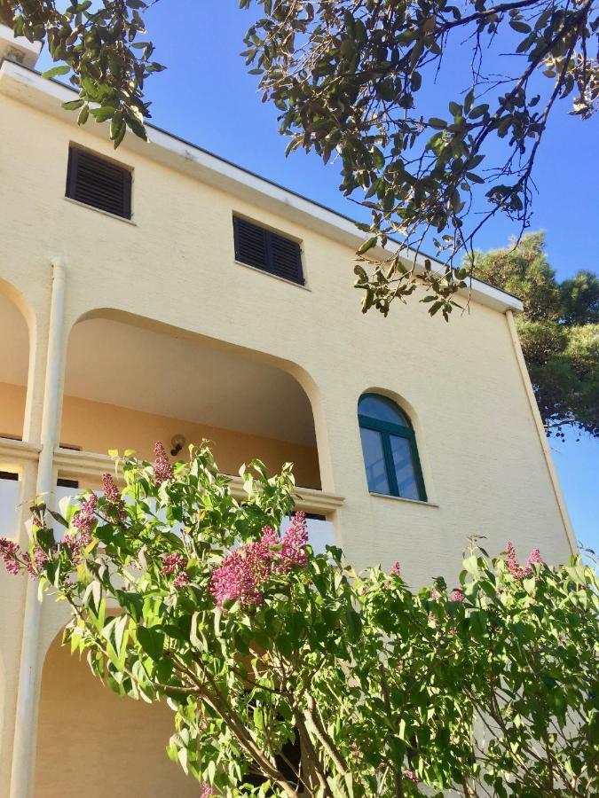 Apartmani Bosiljka Nin Exterior foto